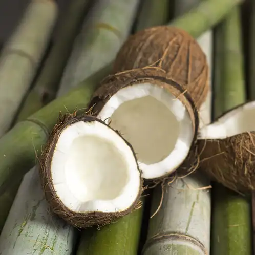 Bamboo-and-Coconut-fragrance-oil