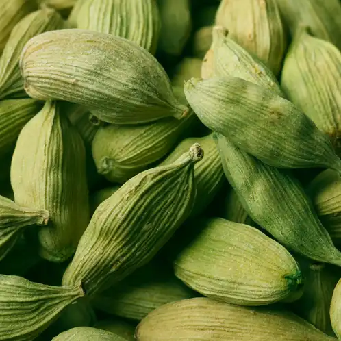 Cardamom