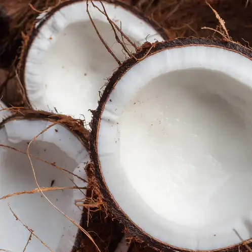 Coconut