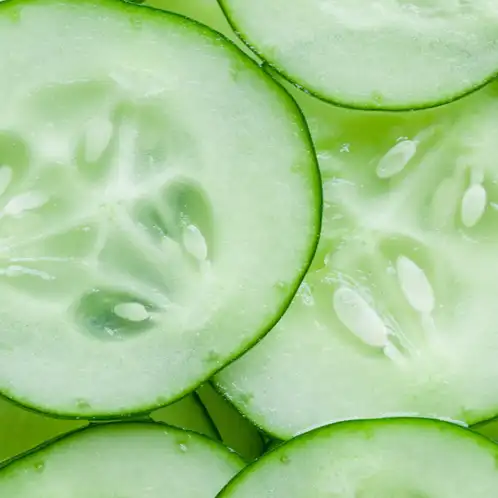 Cucumber
