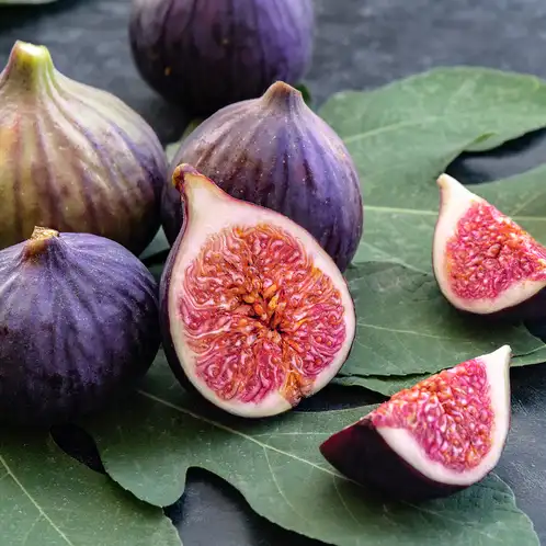 Fig_Leaf