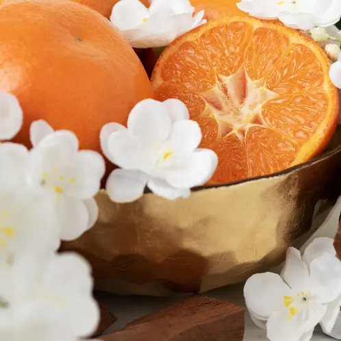 Gilded_Mandarin-1x1-1