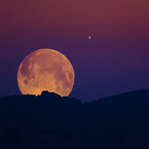 Harvest_Moon_1x1