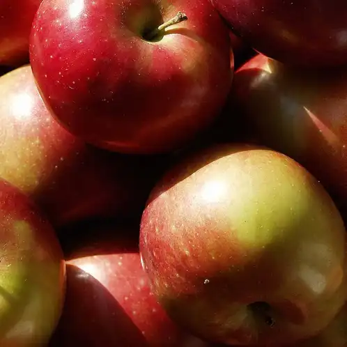Mac_apple_1000px