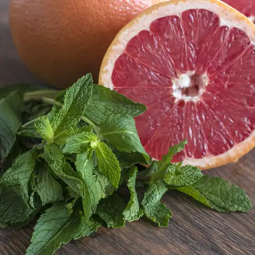 Mint-and-Grapefruit-Fragrance-Oil
