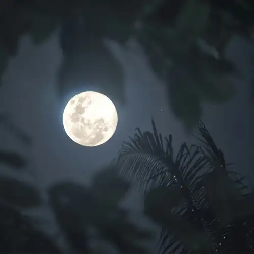 Moonlit-Silk-1x1-2