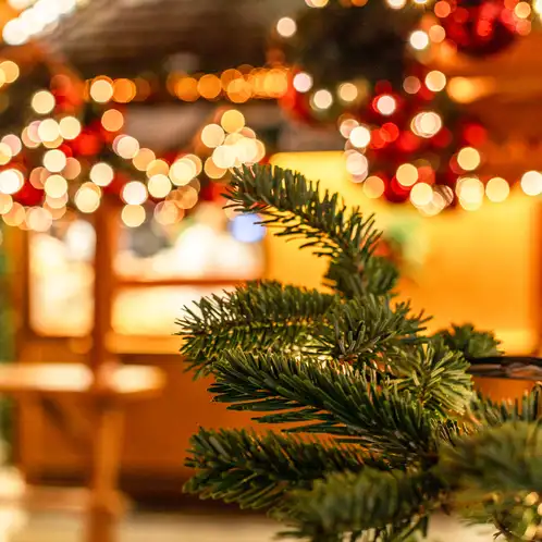 Winter-Market-PDP