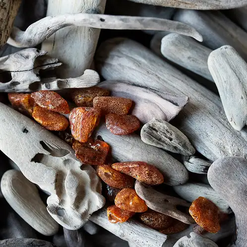 amber-driftwood-fragance-oil-square-web