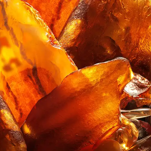amber-noir-fragrance-oil-web