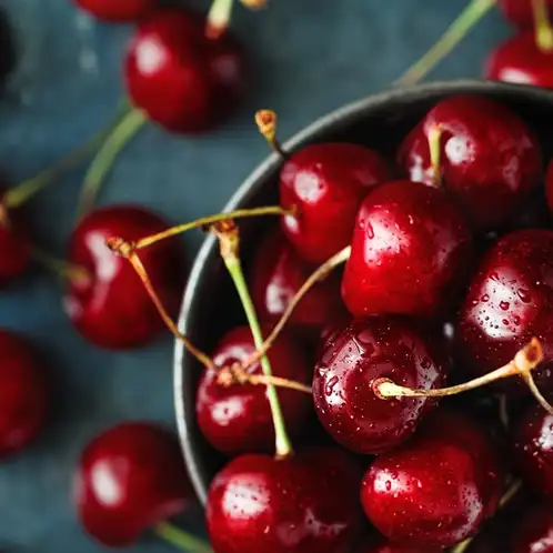 black-cherry-merlot-fo-web