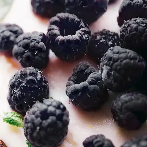black-raspberry-vanilla-fragrace-oil-web
