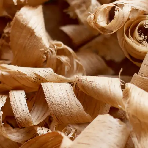 cedarwood-blanc-web