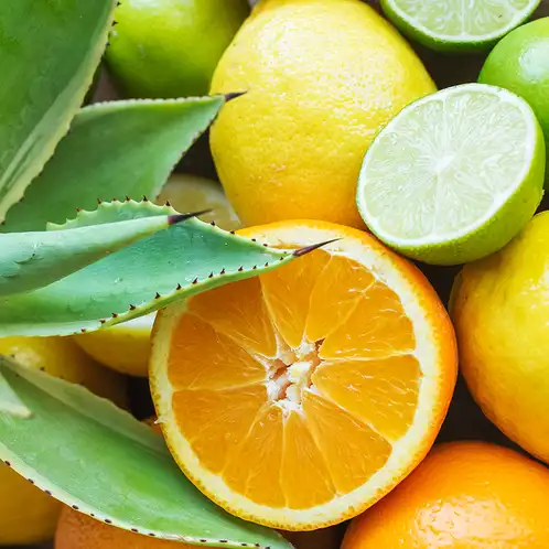 citrus-agave-fragrance-oil-web