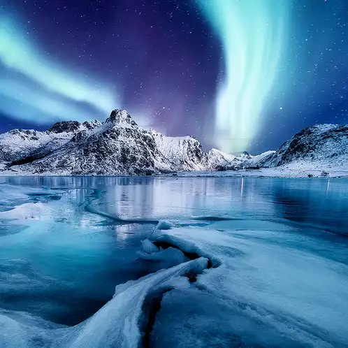 nordic-nights-fragrance-oil-web